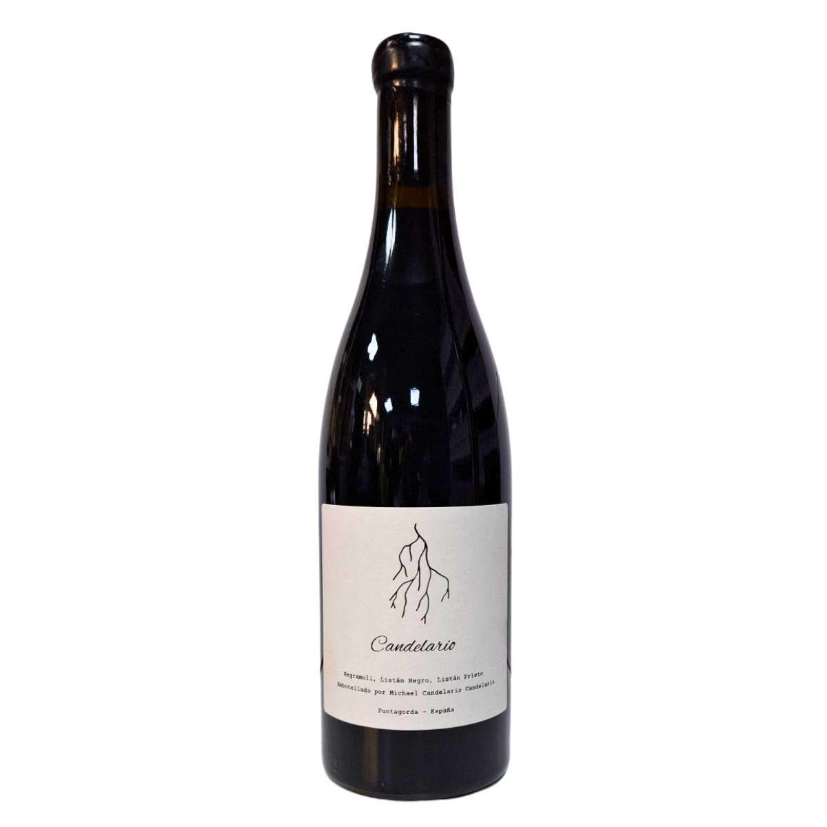 V.Tinto Candelario 75Cl 2024