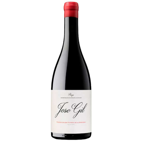V.Tinto Viñedos En San Vicente 2024 75Cl