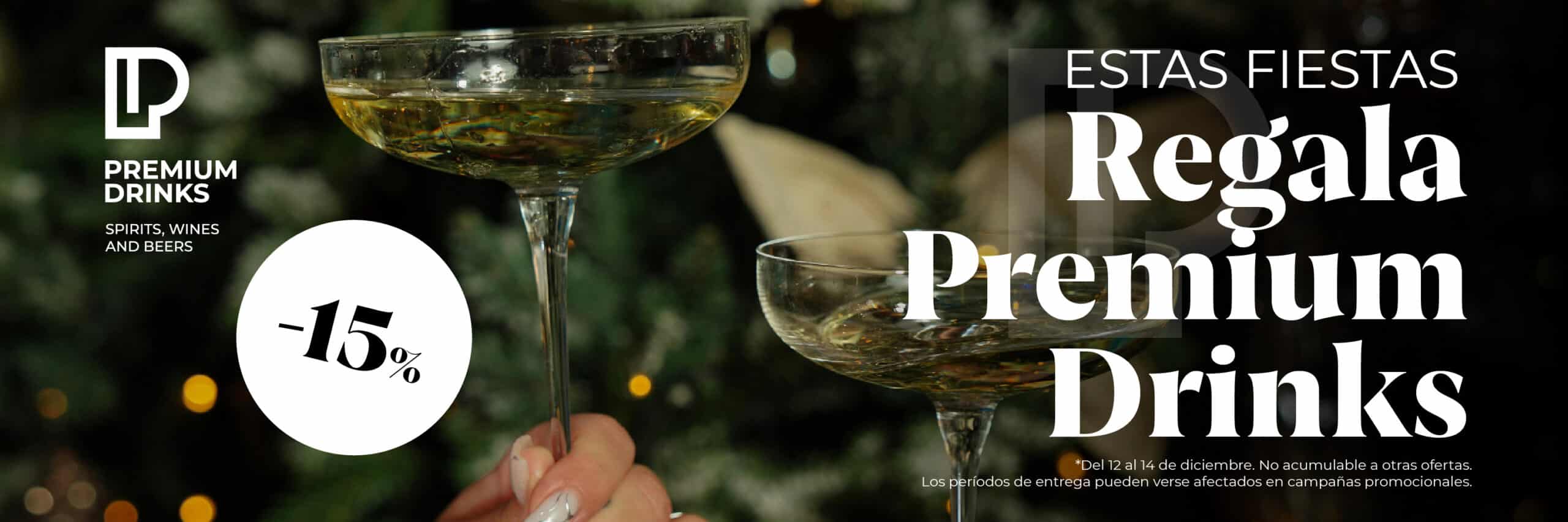 newsletter diciembre 08 scaled