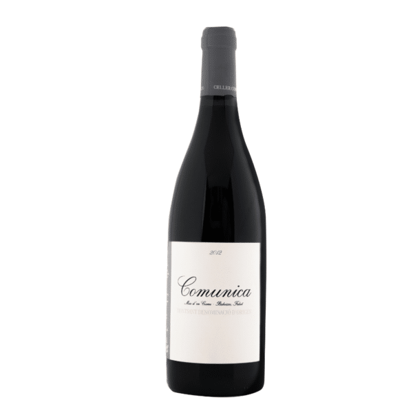 Comunica 2011